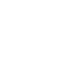WDV Logo